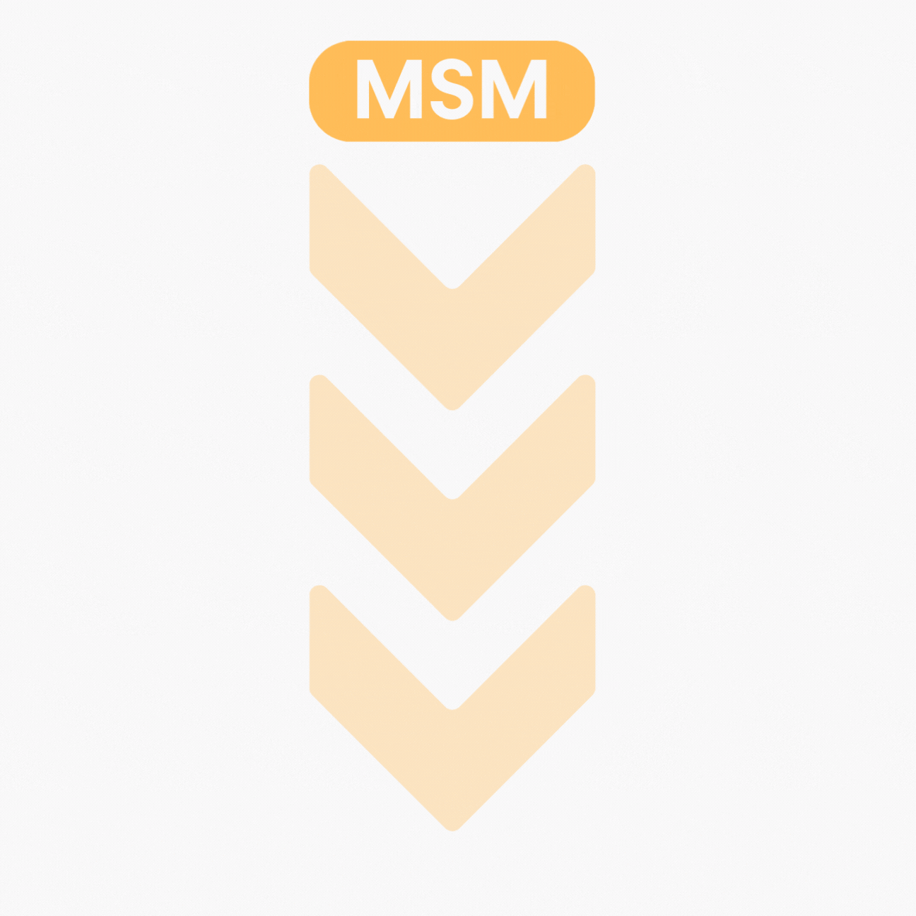 msm animace